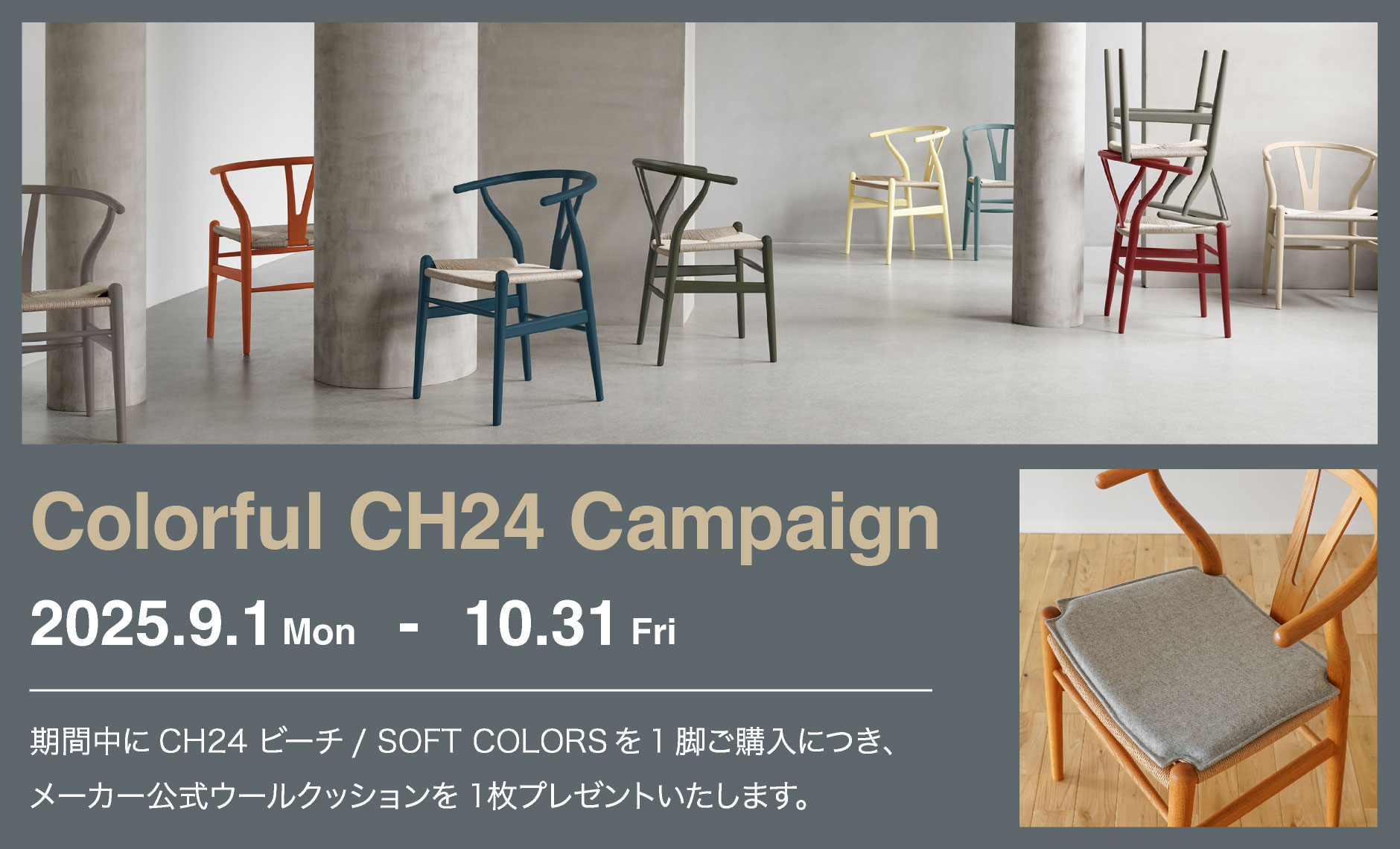 カラフルCH24（Yチェア）キャンペーン