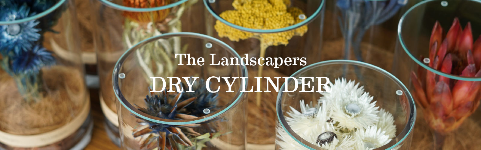 The Landscapers（ザ・ランドスケーパーズ）オリジナルプロダクト DRY CYLINDER（ドライシリンダー）
