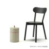 カリモクニュースタンダード カラービン （Karimoku New Standard Colour Bin） ラージ［P347ABZG］ 商品画像2