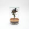 The Landscapers（ザ・ランドスケーパーズ）DRY CYLINDER（ドライシリンダー） INDIGO DYE Plumosum（プルモサム）商品画像1