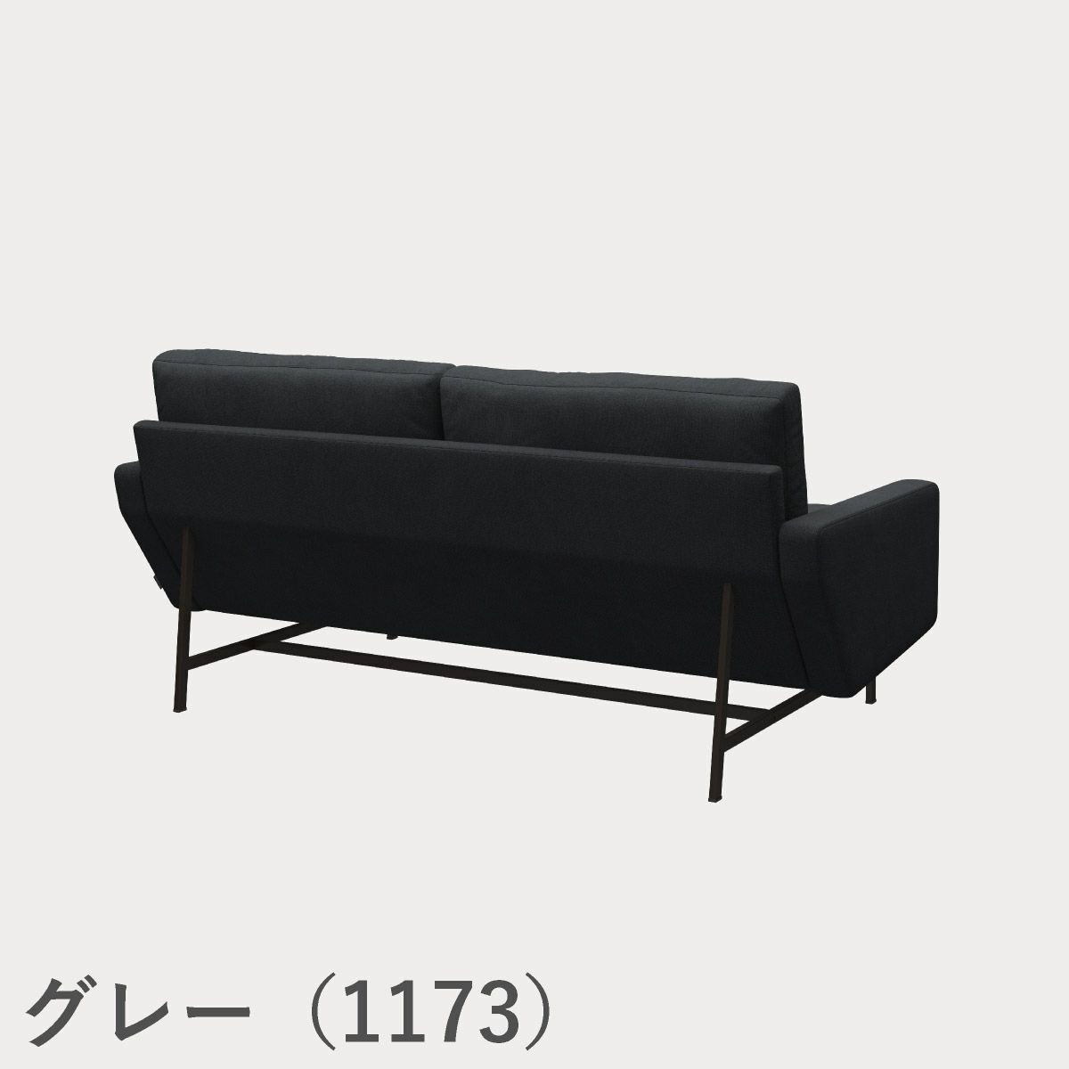 FRITZ HANSEN（フリッツ・ハンセン）LISSONI SOFA（リッソーニソファ）2シーター（PL112S） / クリスチャンハウン